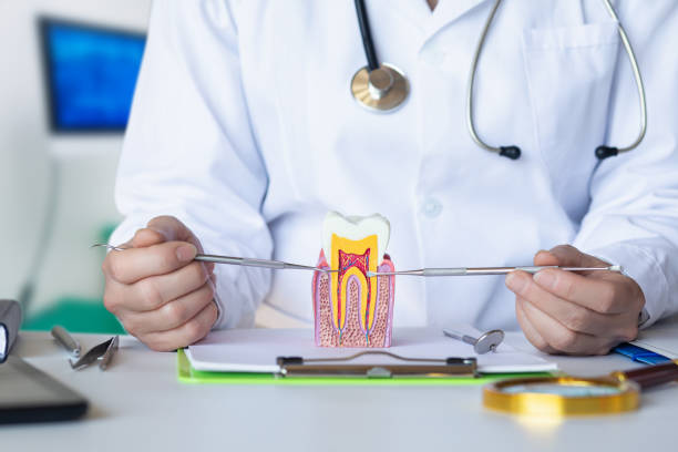 Best Emergency Dental Care for Broken or Chipped Teeth in Gore, OK